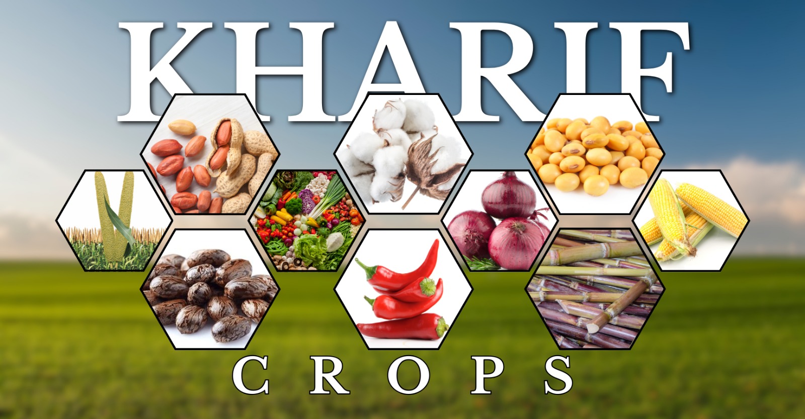 Kharif Crops thumbnail