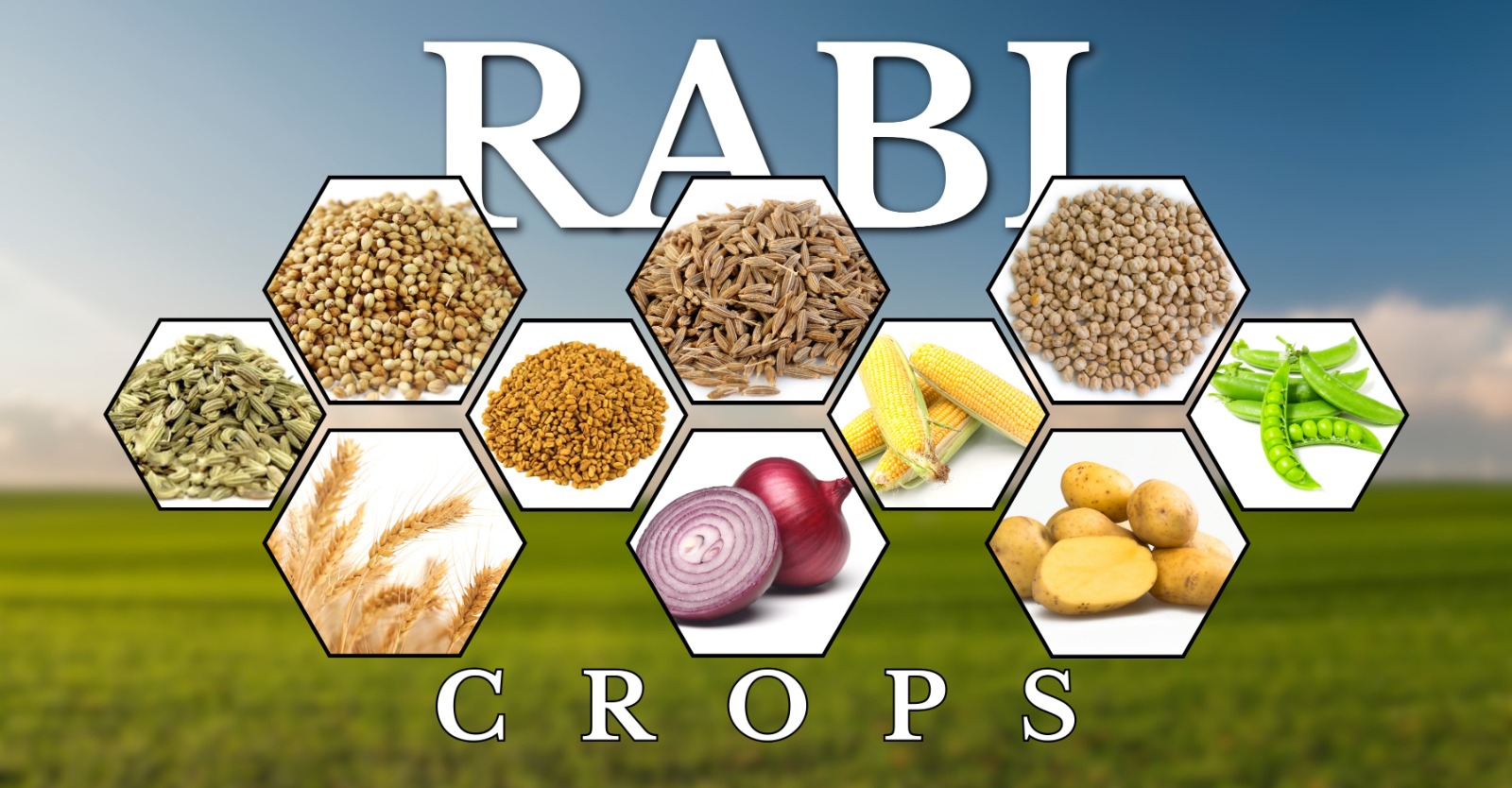 Rabi Crops thumbnail