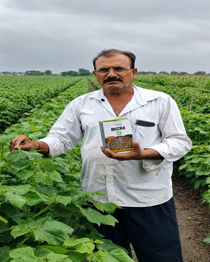 Photo of ચંપકભાઈ છગનભાઇ કાથરોટિયા