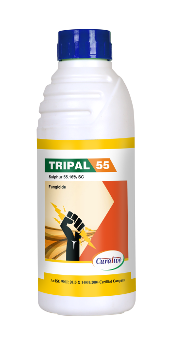tripal-55